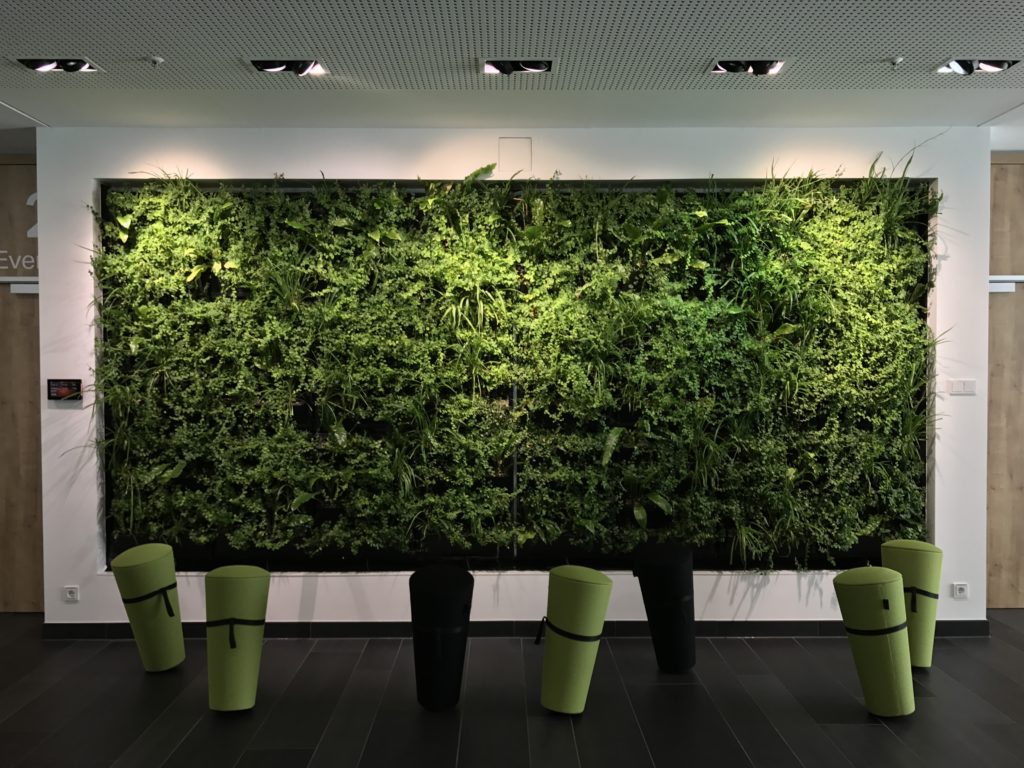 Bauwerksbegrünung_Innenraumbegrünung_01 begrünte Wand in einem Innenraum