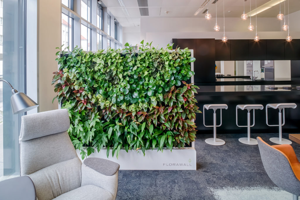 Bauwerksbegrünung_Innenraumbegrünung_FlorawallSteelcase begrünte Wand in einem Innenraum