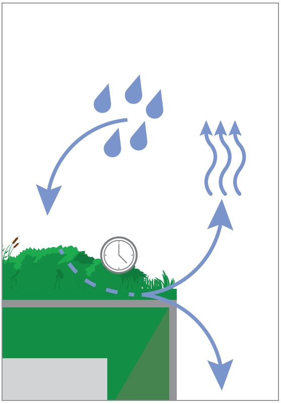 Wasser_Regen_Dach Grafik Regenwasser wird von der Dachbegrünung zurückgehalten und zeitverzögert verdunstet