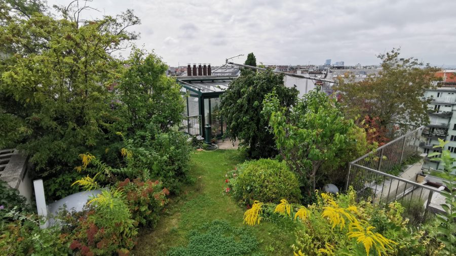 Dachgarten GRÜNSTATTGRAU