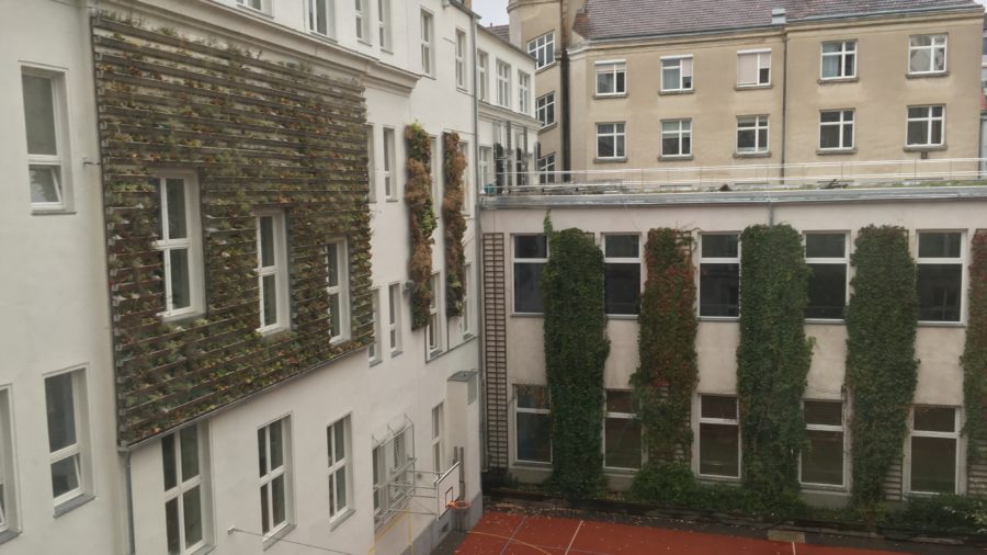 Außenwandbegrünung (c) TU Wien