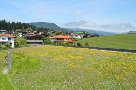 Volksschule Söll