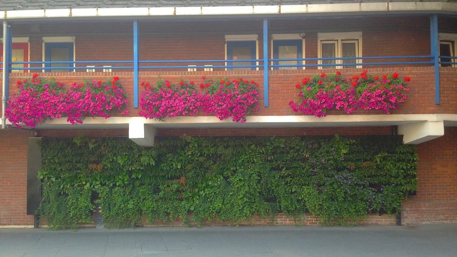 Ansicht gesamte Begrünung © Green Infrastructure Consultancy