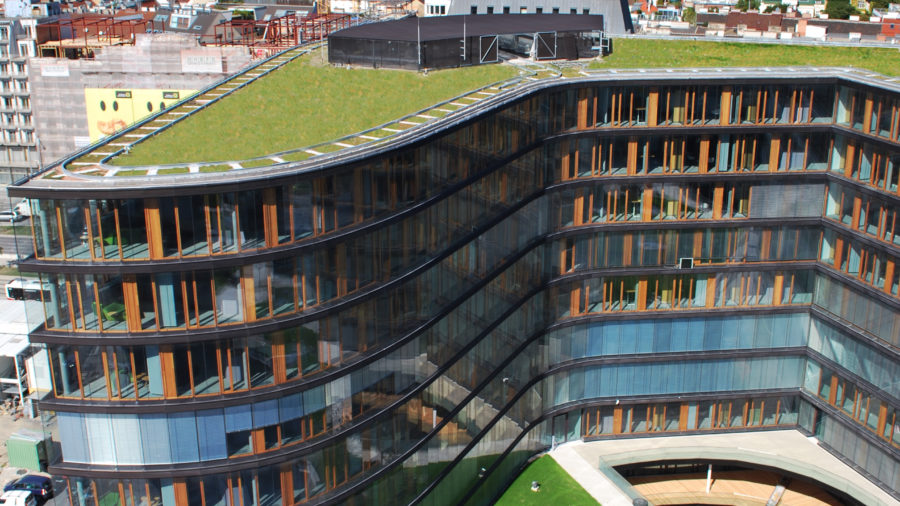 Erste Campus 07