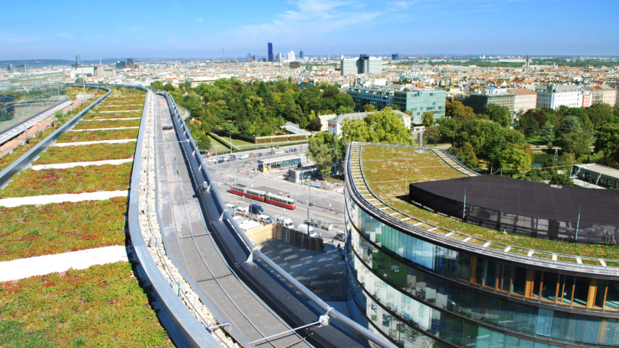Erste Campus 04