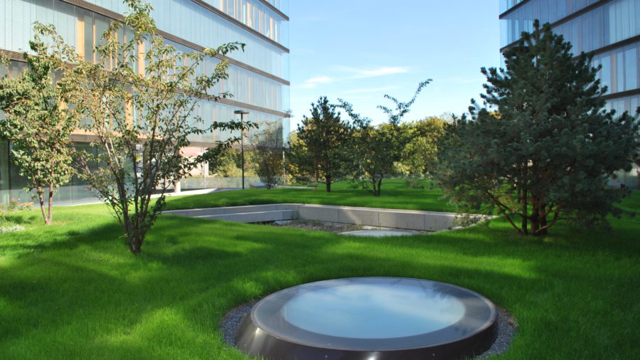 Erste Campus 06