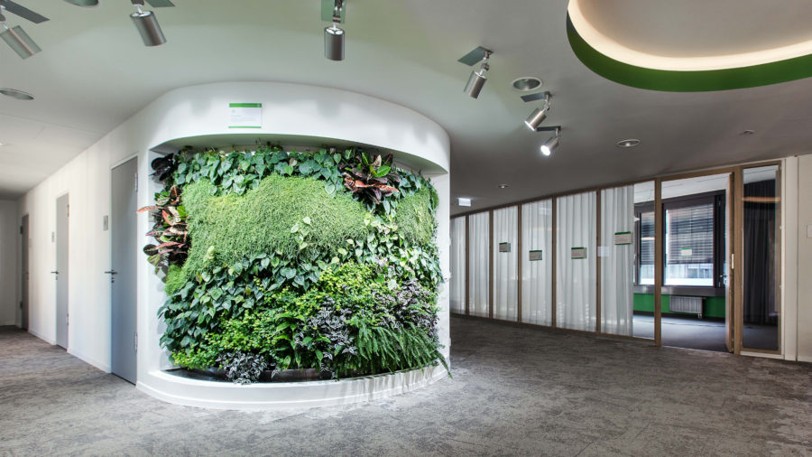 Simply Garden Living Wall Büro Fytotextile