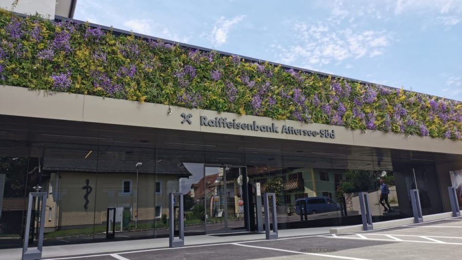 wandgebundene Fassadenbegrünung Attersee