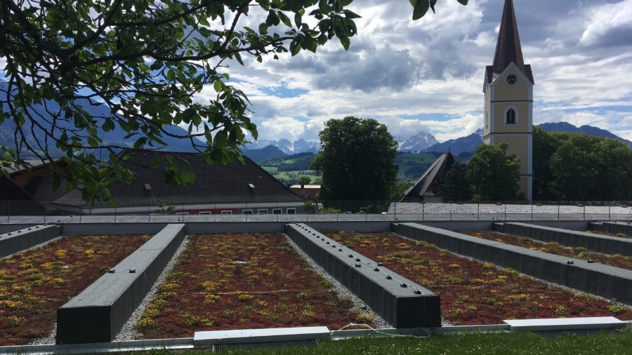 extensive Dachbegrünung Windischgarsten