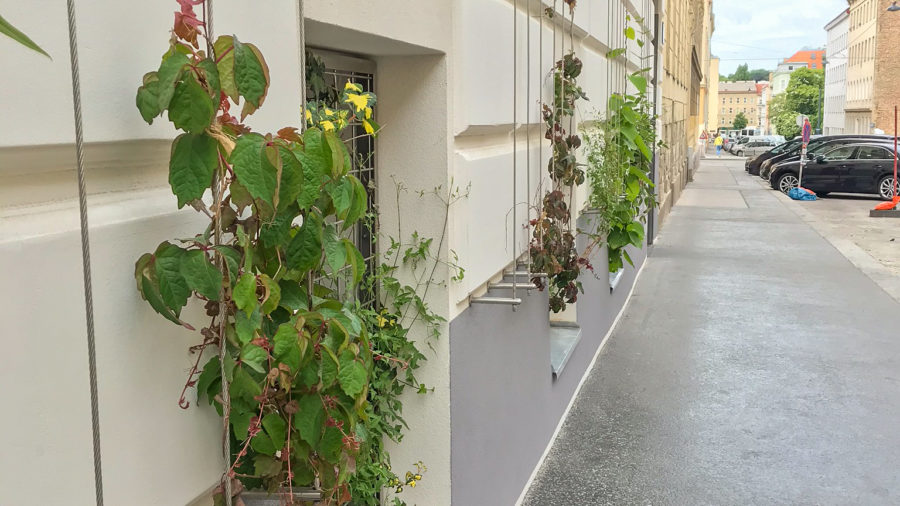 Projekt LA VERDE VITA, Römergasse 59, 1160 Wien