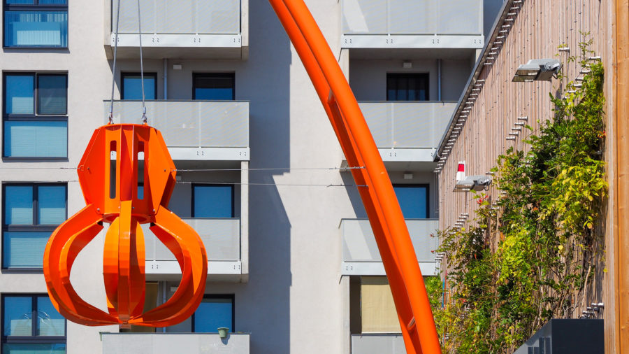 Pflanztröge, Rankseile an Holzfassade