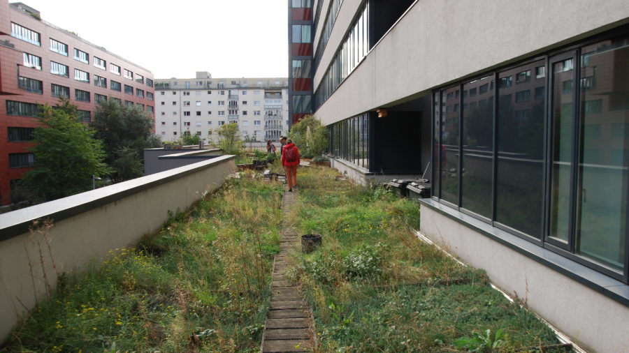 Weg durch die Beete