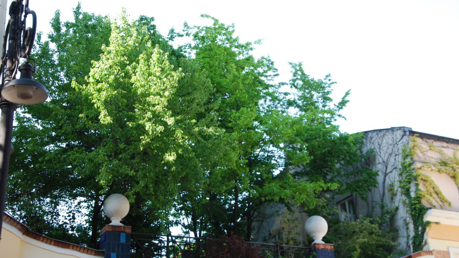 Hundertwasserhaus