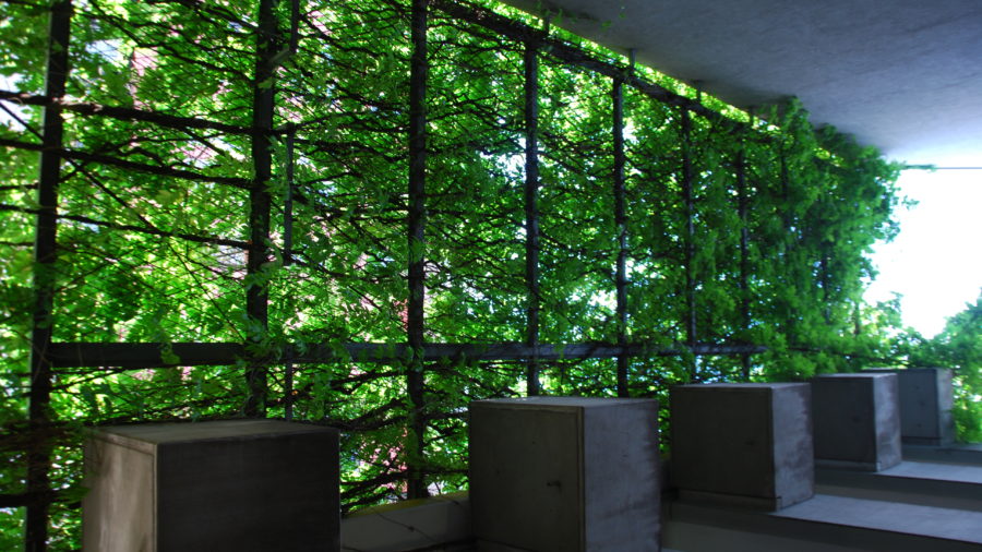 Begrüntes Parkhaus 