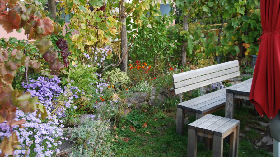Ein Ort zur Erholung, hinten begrünt mit Weinreben