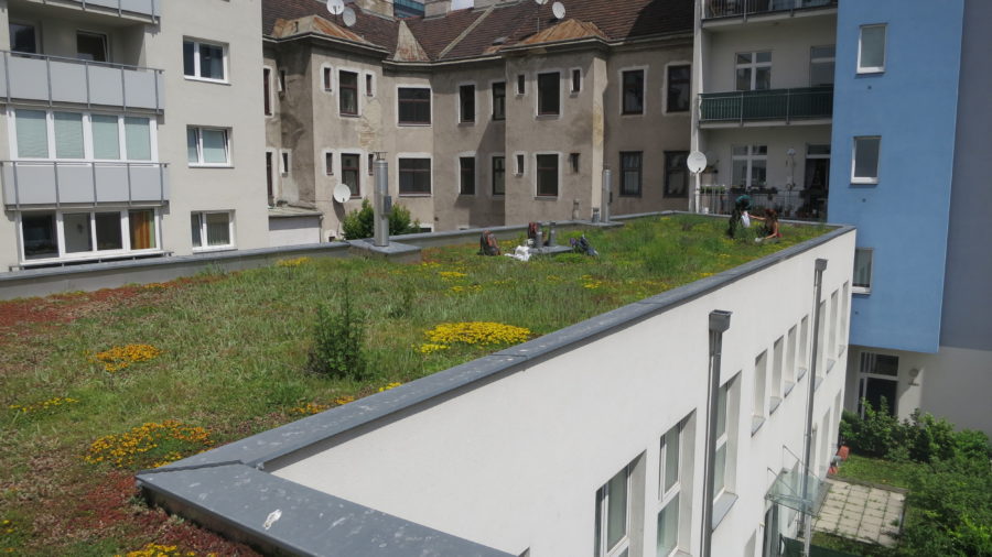 Flachdach