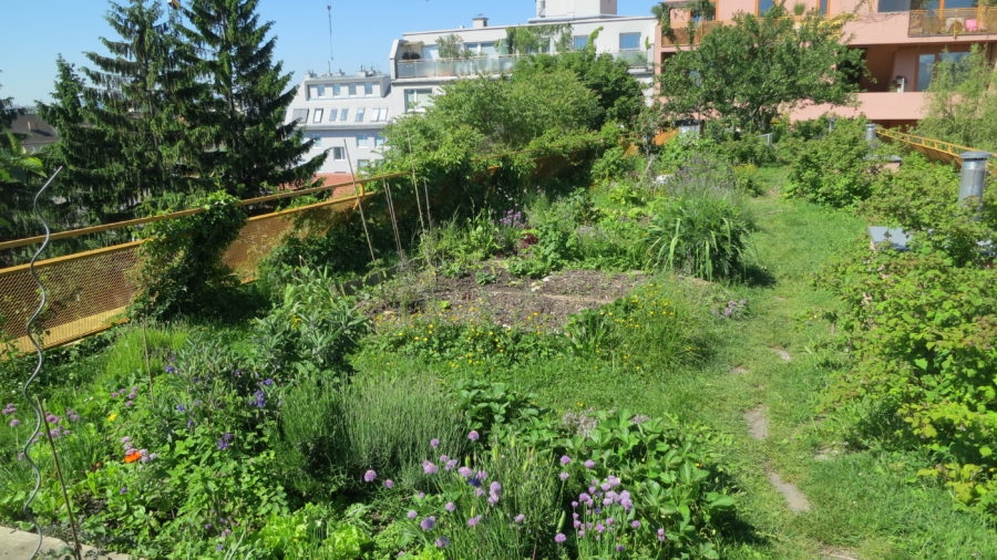 Dachgarten Sargfabrik