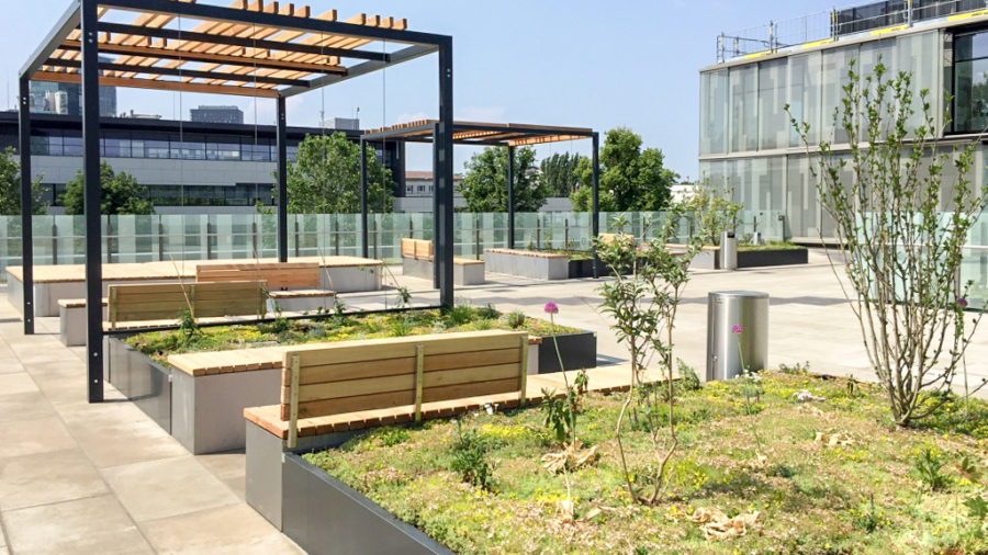 Neue Besucherterrasse