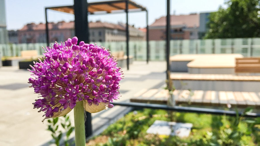 Neue Besucherterrasse