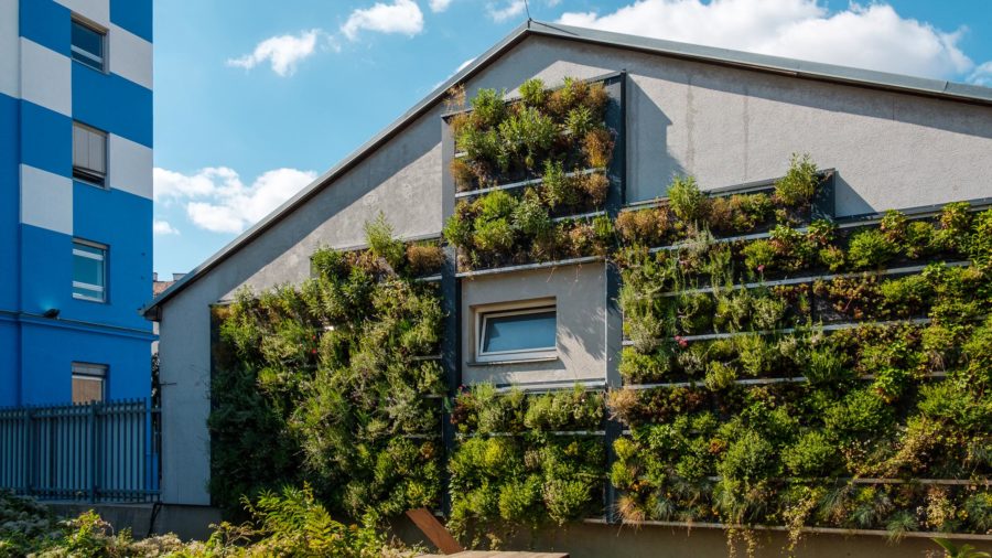 Green Skin – Fassadenbegrünung durch Slavonia-LivingPanels