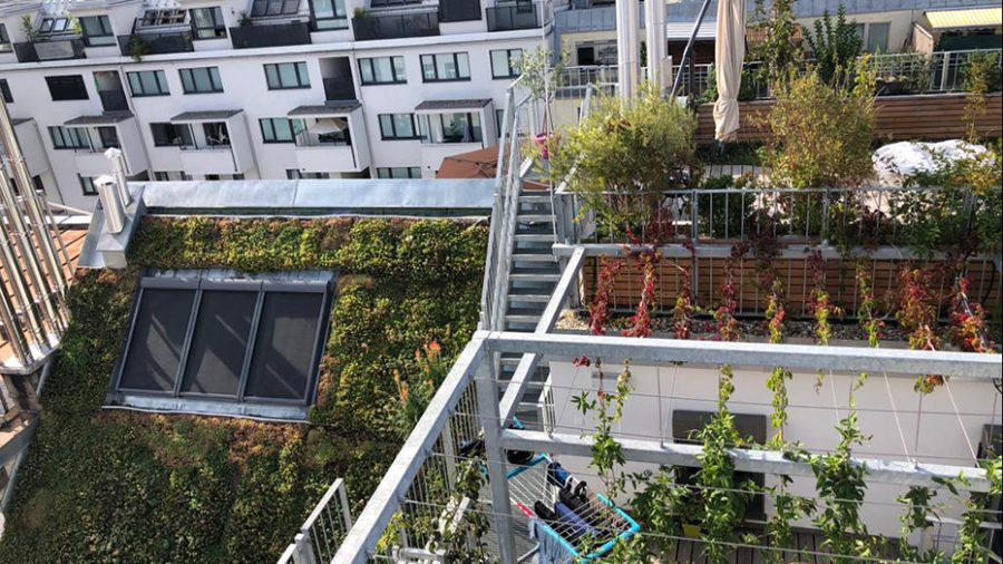 Projekt LA VERDE VITA, Römergasse 59, 1160 Wien