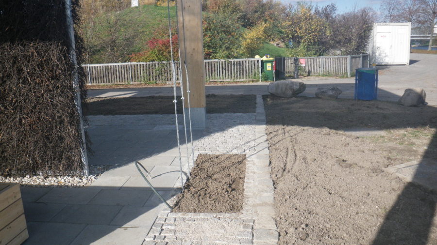 Seile für Kletterpflanzen