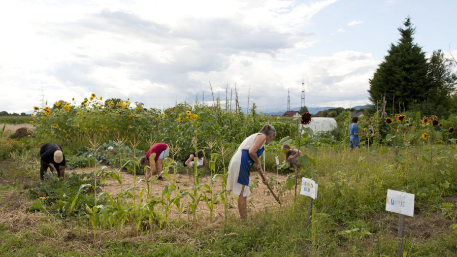 Gemeinschaftsgarten im ländlichen Raum