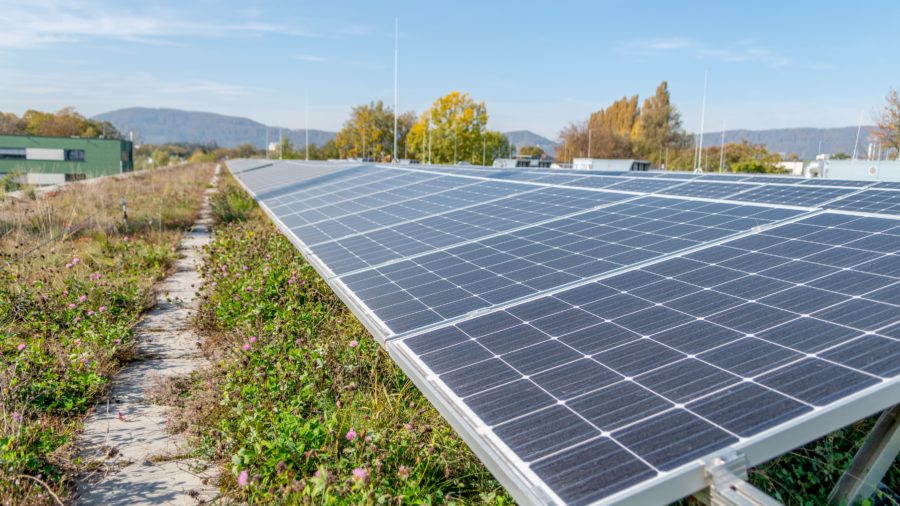 Solargründach - Werkstattshalle, Graz Holding © achtzigzehn/Jane Hinterleitner 