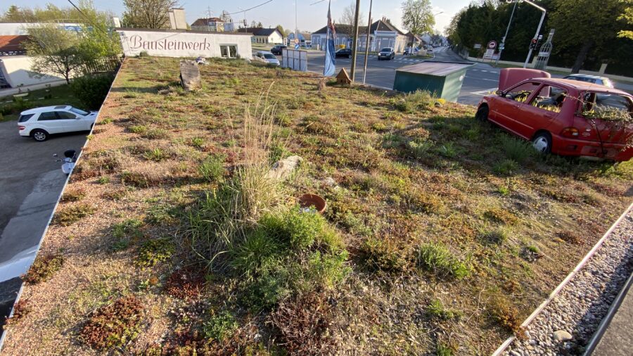 Nachher  (C) Baumfirma Grassl GmbH