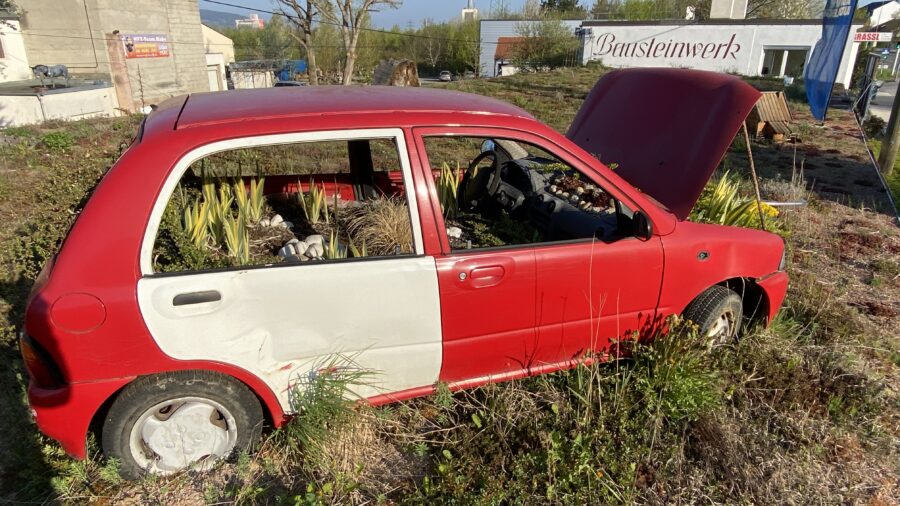Begrüntes Auto (C) Baumfirma Grassl GmbH