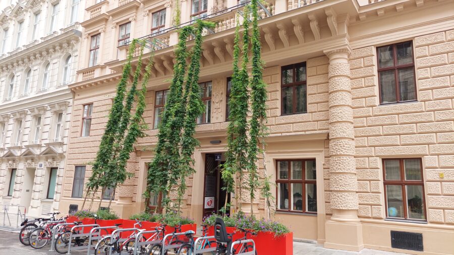 Fassadenbegrünung mit Gerüstkletterpflanzen (C) Schöberl