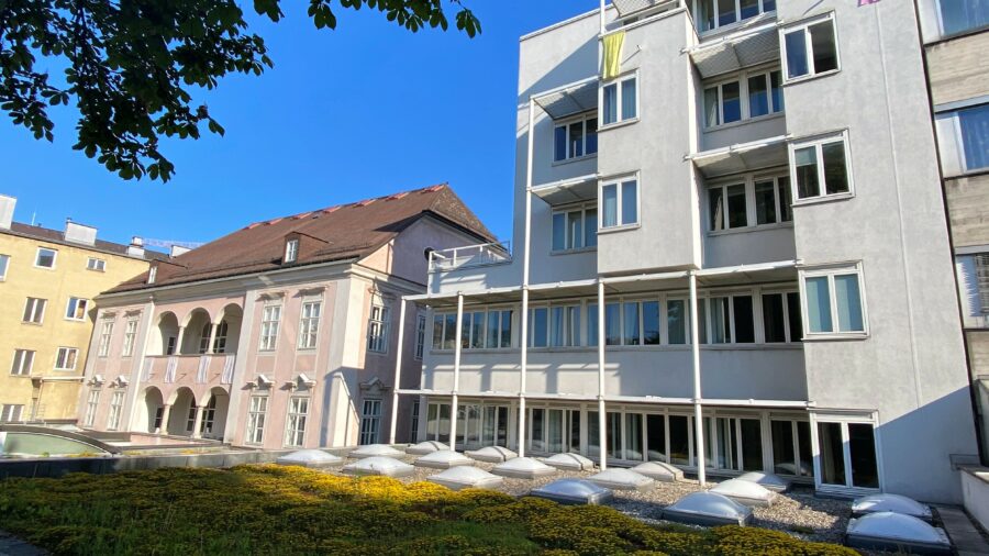 extensive Dachbegrünung  (C) KU LInz/ Eder