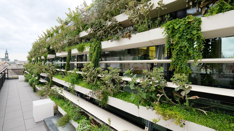 Begrünung Dachlamellen - Fotocredits: RATAPLAN-Architektur ZT GmbH