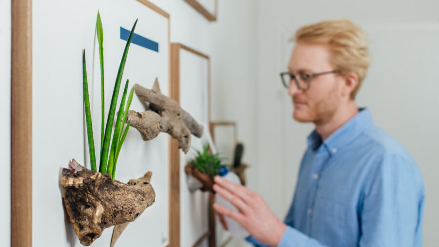 Pflanzenkunst mit lebenden Pflanzen