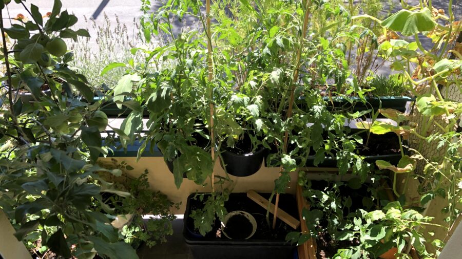 urban gardening 1150 Wien