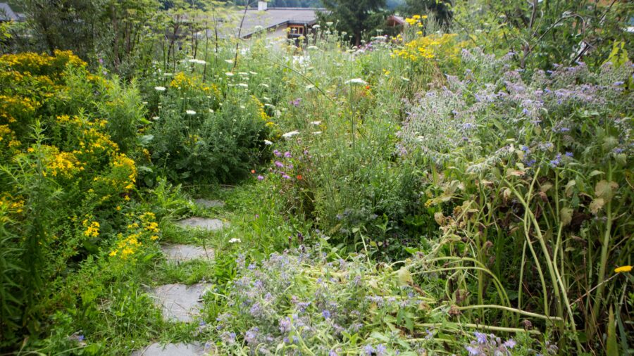 Naturgarten auf Betondecke bis 150cm Schüttung
