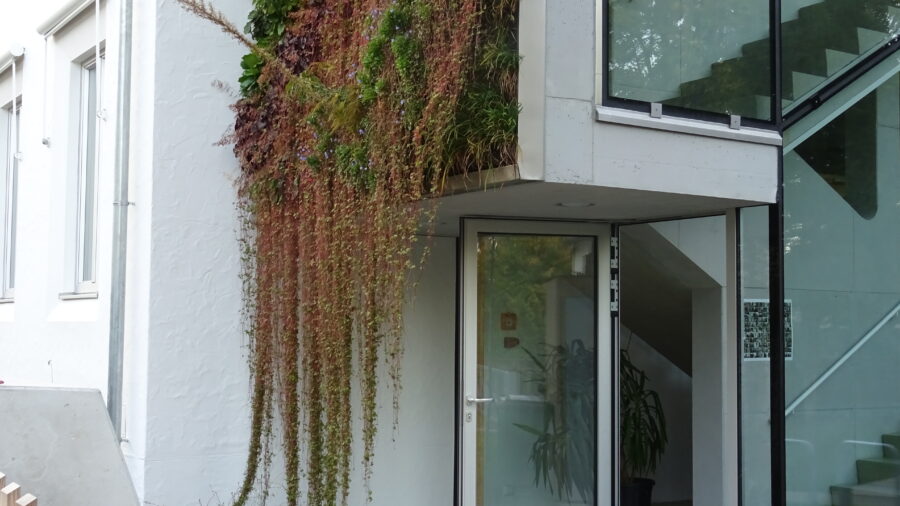Fassadengarten @ Fricke