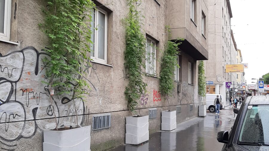 BeRTA-Grünfassade, Quellenstraße 107, 1100 Wien (Quelle: Christine Kaindl) 
