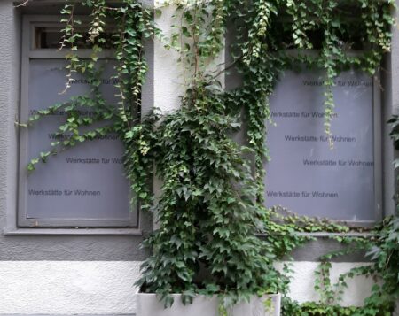 BeRTA-Grünfassade, Jagdgasse 25, 1100 Wien