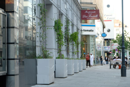 BeRTA Grünfassade, Rotenturmstraße 11, 1010 Wien