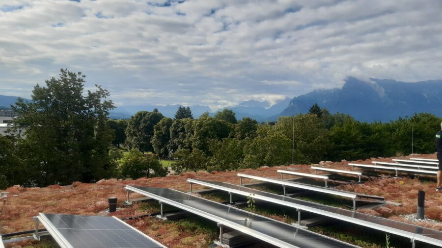 Solargründach Stadt Salzburg (C) Rainer-Schöpf